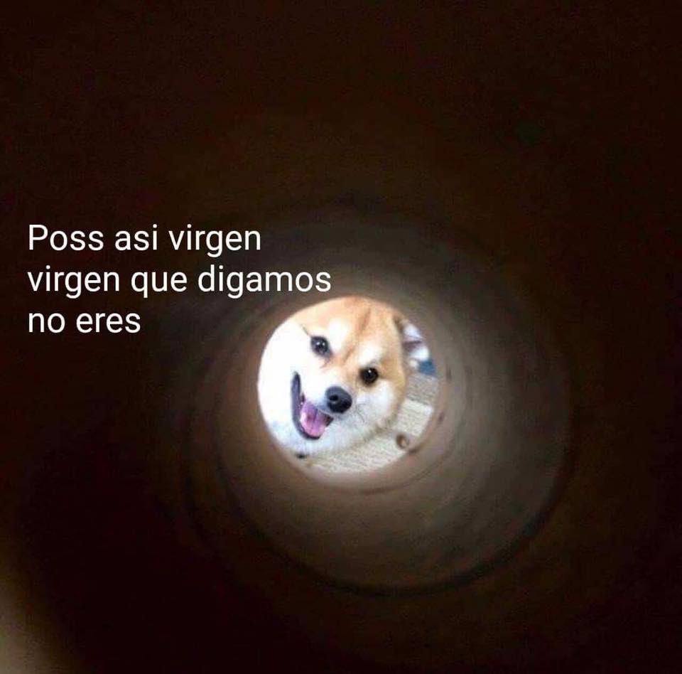 sincolor3's tweet photo. Jajaja mentirosita https://t.co/w7WPEGh1xH