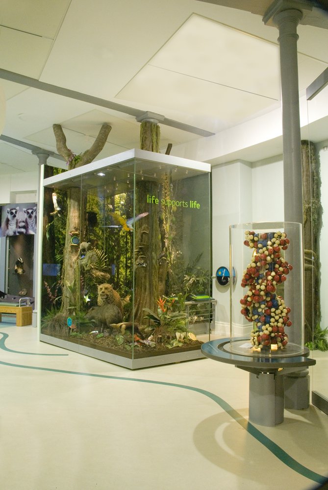Our #MidWeekMuseum takes us back to 2011 and off to <a href="/LeedsCityMuseum/">Leeds City Museum</a> where they have over 4.5 billion years of discovery in one place...

Thankfully they only needed showcases for some of their incredible treasures - although we'd have loved that challenge! #Thatsalotofshowcases!