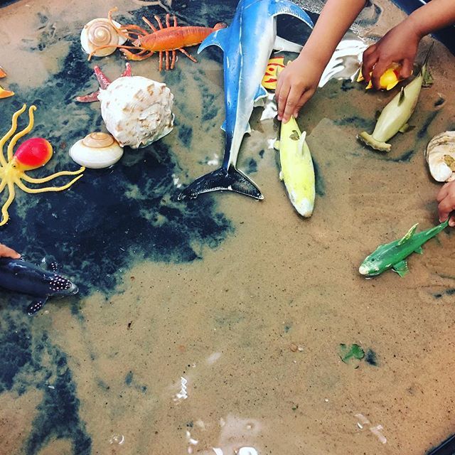 playfactoryldn's tweet photo. National Shamu the Whale Day #nationalcalendar #nationalcalendarday #nationalshamuthewhaleday #theplayfactory #theplayfactorynursery #ilford #redbridge #london #eastlondon #essex #development #developmentmatters #eyfs #earlyyears https://t.co/wHYY8XHgwf https://t.co/xXrD45i6zl