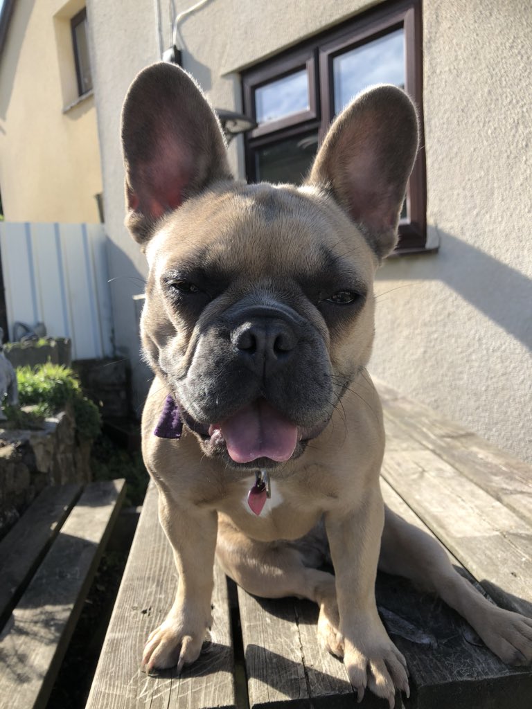 PawPalm's tweet photo. https://t.co/pUEiSxlppd