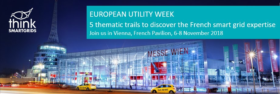 ThinkSmartgrids's tweet photo. You intend to visit the #EUW18 in Vienna? Think #Smartgrids will organize 5 thematic trails every day to present the latest innovations, operators’projects and field experiences of the French #smart grid ecosystem. Go to https://t.co/LfNPIgb8hn for more information cc @EUW_live https://t.co/p95VGG1xdG