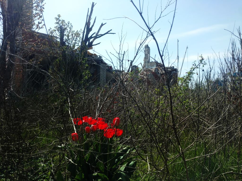 severbat's tweet image. One day you will admire the dawn without bending behind a bush.
#Donbass #Ukraine #AzovSea