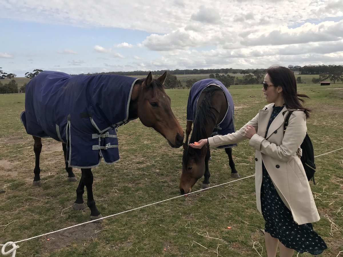 sanahuen's tweet photo. I got you finally! Design On Rome!✌🏻

Special thanks to that Uncle who guide me the way to find wild kangaroos &amp; Design On Rome☺️

Happy Day Tour in Living Legend~
🐎🐎🐎🐎🐎🐎🐎

#designonroom
#livinglegend
#australia https://t.co/8ADXA4l8r0