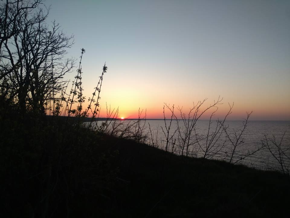 severbat's tweet image. One day you will admire the dawn without bending behind a bush.
#Donbass #Ukraine #AzovSea
