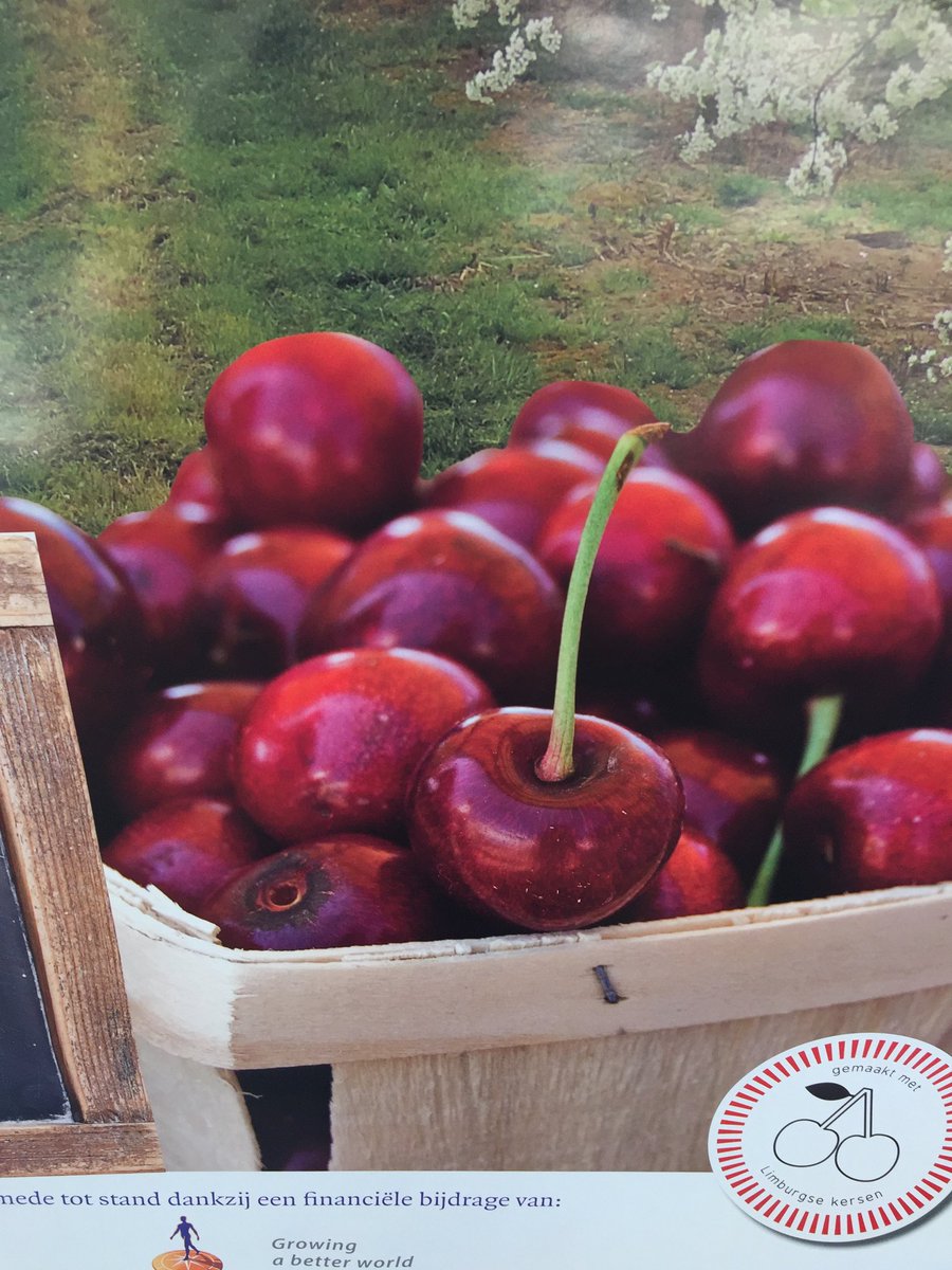 De Limburgse zure kers, de Morel van bijna dood naar erkend streekproduct vanavond in #L1mburgCentraal #L1