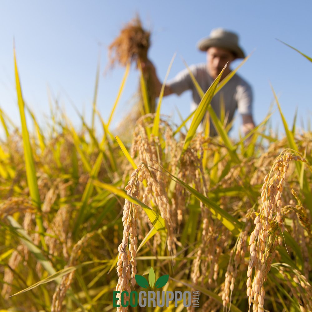 EcogruppoItalia tweet picture