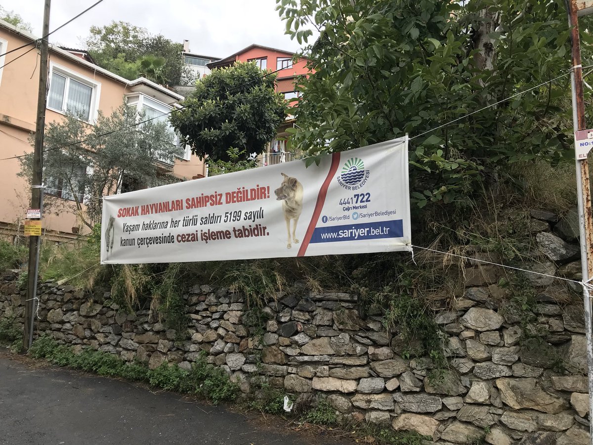 Teşekkürler <a href="/SariyerBelediye/">Sarıyer Belediyesi</a>. Sokak hayvanlarını koruduğunuz için teşekkürler.<a href="/MBarisSengun/">Barış ŞENGÜN 🌱</a> <a href="/HaytapOfficial/">Semtiemt</a> @ibbBeyazmasa