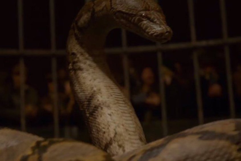 Stop Muggles tweet media