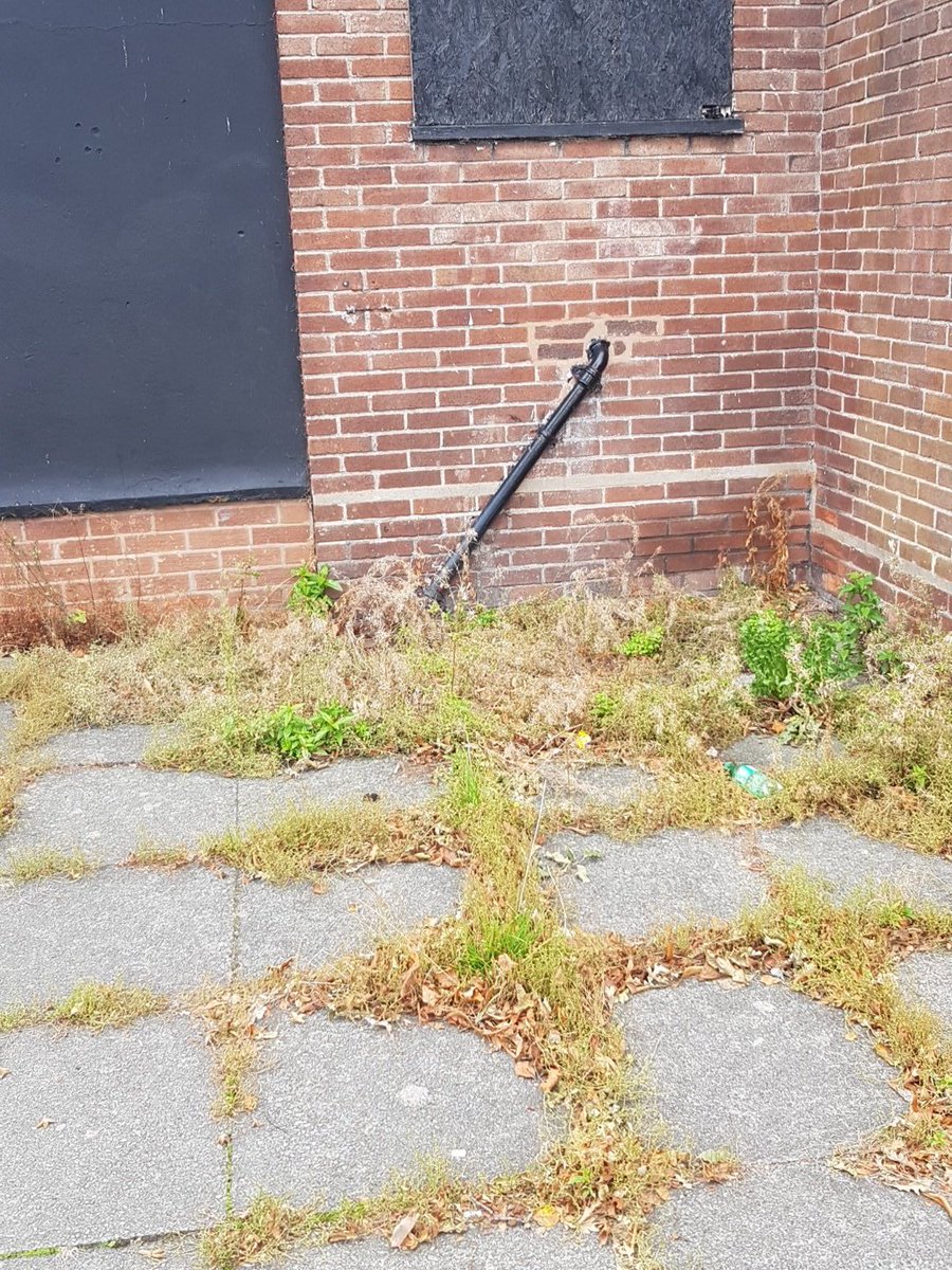 manning_aimee's tweet photo. Well all year we have been complaining to the @WirralCouncil and still it looks a mess need bin moving before salon gets burnt down fuming 😤😤 https://t.co/TjtkLHHdXP