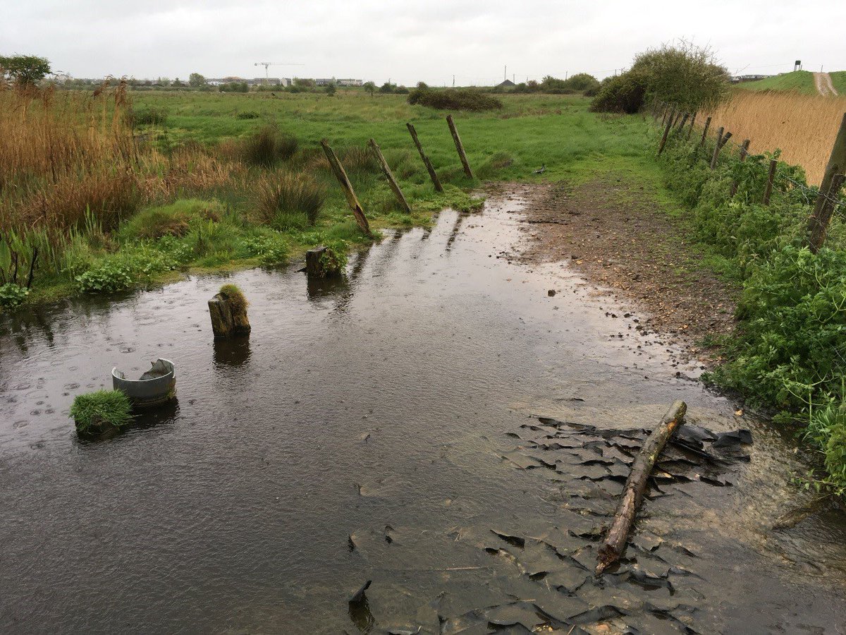 FarmFrinton's tweet image. Before...