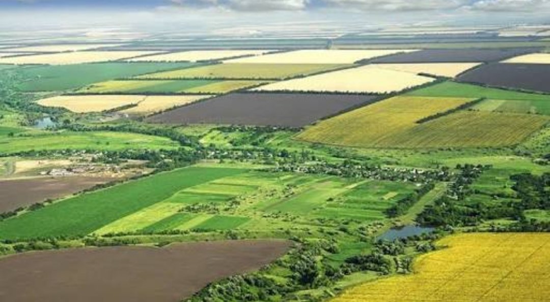 Kamu arazilerinin tahsisinde ihale şartı kaldırıldı  #ihale #kamu 
binbirproje.com/kamu-arazileri…