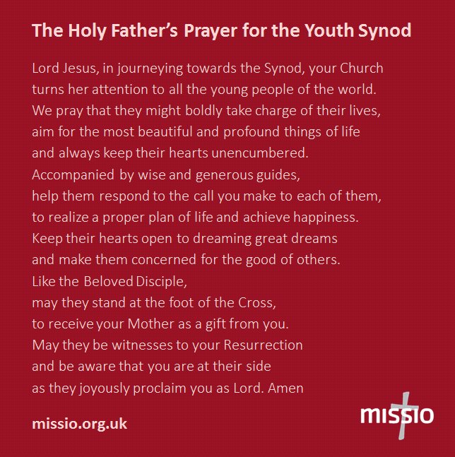 Next Wednesday (Oct 3) begins the Synod of Bishops on Young People, Faith &amp; Vocational Discernment. Join the Holy Father in praying for our young people and view our vocations workshops for a useful accompanying school resource buff.ly/2POkvia @synod2018 <a href="/acceUK/">ACCE UK</a> <a href="/cymfed/">CYM Federation</a>