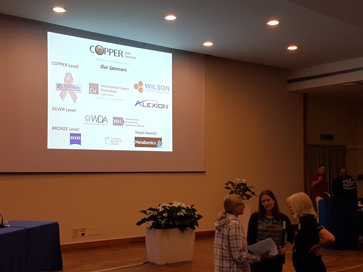 JTHAndres1's tweet photo. Excited for today's session and delighted that @Metallomics could support this fantastic event! #Copper2018 https://t.co/sTzf5PGDAw