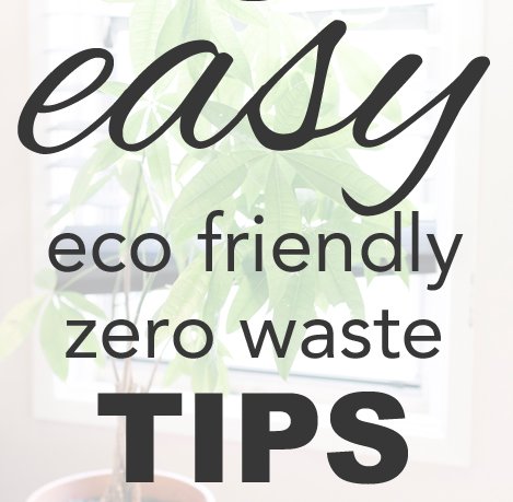 taste_zero's tweet photo. Want to start a #zerowaste #lifestyle ?? Here are some #amazing #tips for beginners ! 
https://t.co/gxnoCCBQJP https://t.co/eO6iUyINtY