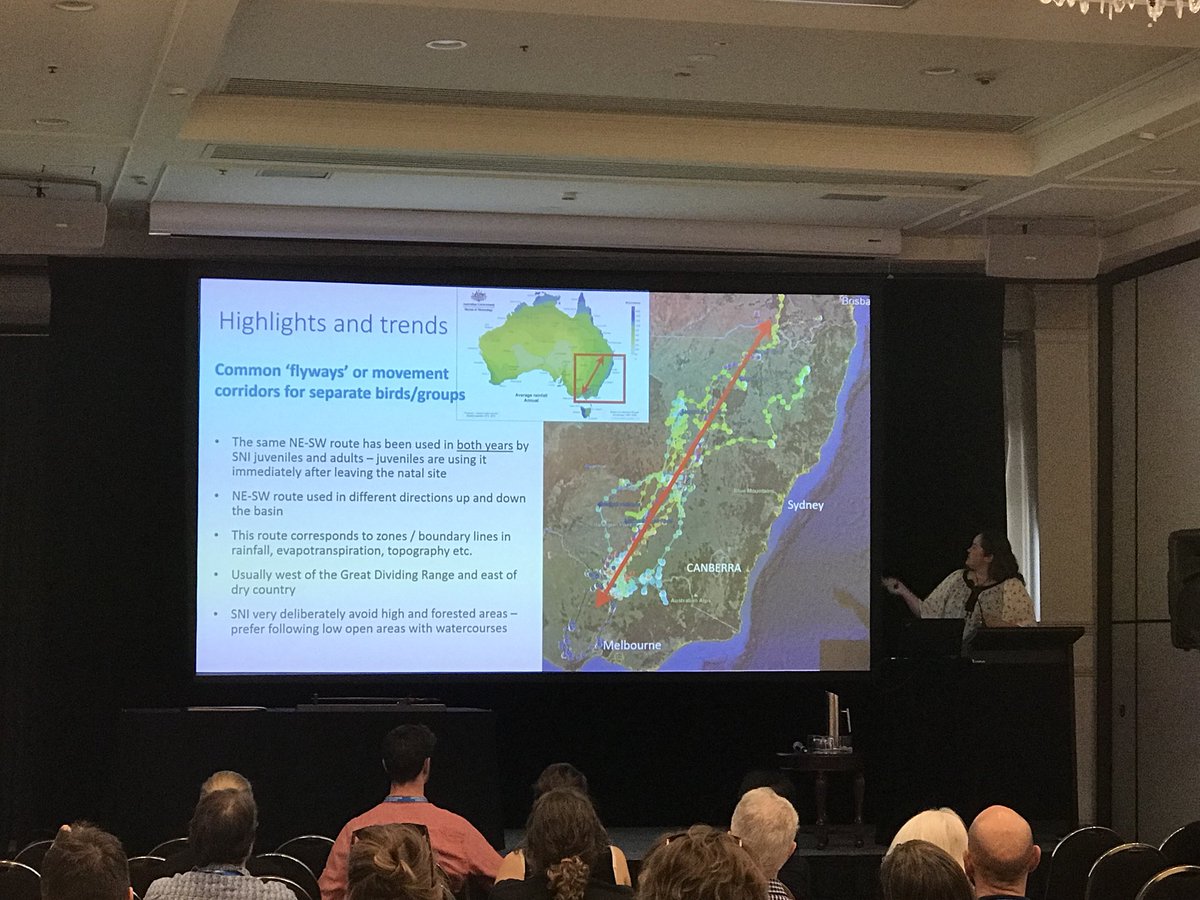 Mel_EcoCulture's tweet photo. Heather McGuiness at #AFSS2018 shows satellite tracked water birds ‘flyways’ and tells how parent birds raise their young down south before flying to QLD... hmmm, this kinda sounds familiar 😆 https://t.co/0FN4Epe1wY