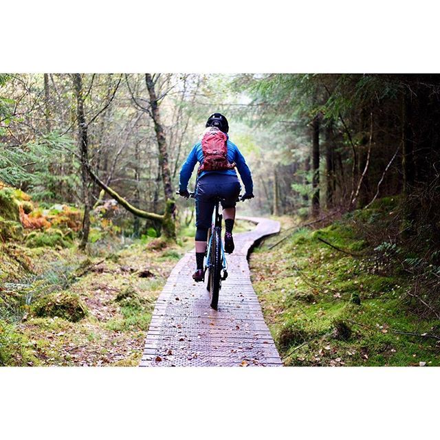 UnInspRamblings's tweet photo. | 7 Stanes in 7 Days |
.
Things were pretty damp and lush at Dalbeattie. Actually, they were pretty damp and lush everywhere...
.
#autumn #autumniscoming #winteriscoming #7stanes #dalbeattie #mtb #mtblife #mountainbike #mountainbiking #inthewoods #inthef… https://t.co/ThGr5qURgg https://t.co/9hcYZQst7a