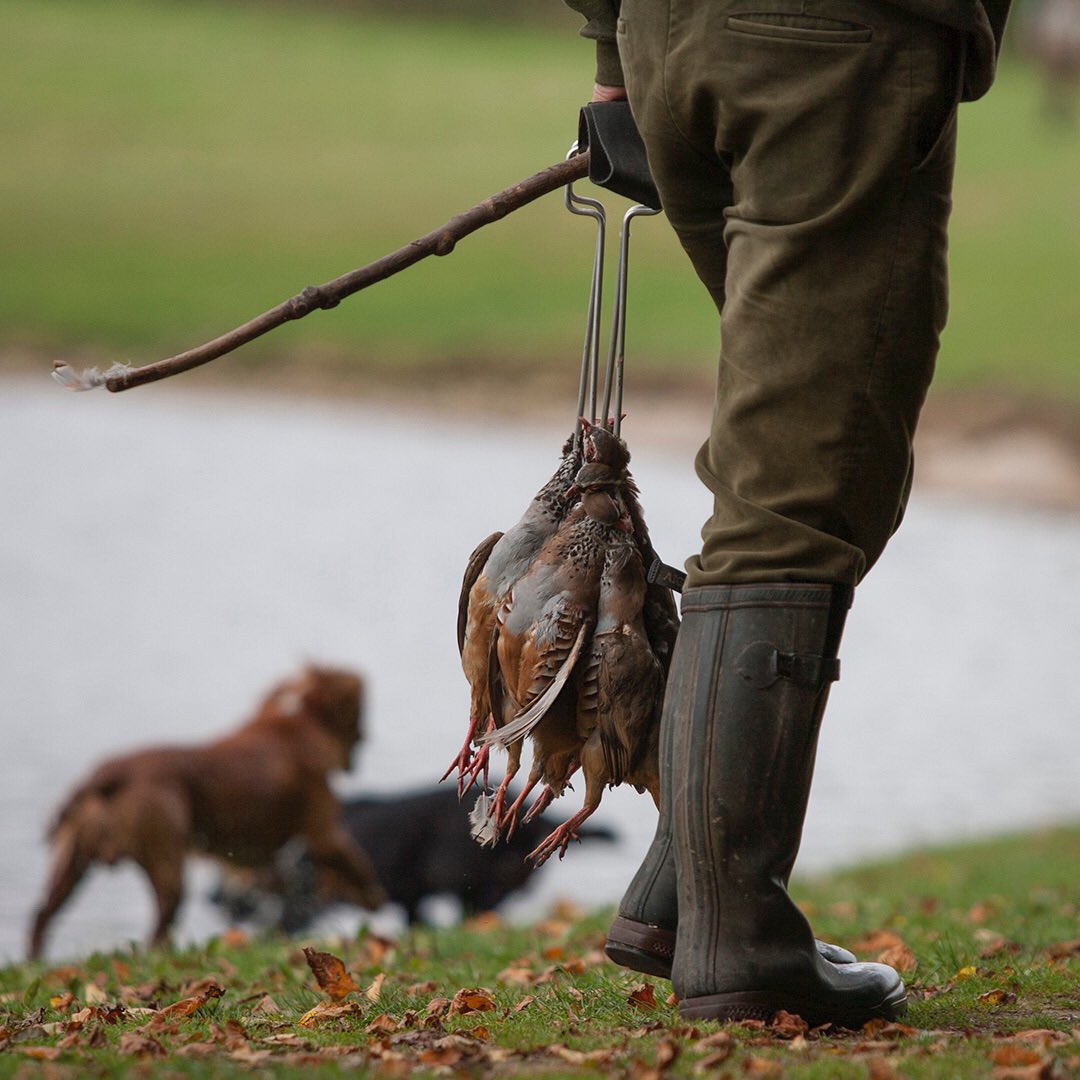 TheFieldmag's tweet photo. Partridge day #redleg #frenchpartridge #partridgeshooting #gameshooting #gamecarrier #pickerup #shooting #fieldlife https://t.co/5aL5FylD7P