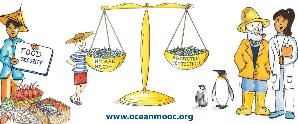 How can we #SaveOurOcean? Meet more than 1000 people discussing it @ #oceanmooc. Your opinion is important to us too! Join us. Let's spread #OceanOptimism from all over the World. Enrollment is open now -> oceanmooc.org #NYCclimateweek #LifebelowWater #sustdev #Goal14