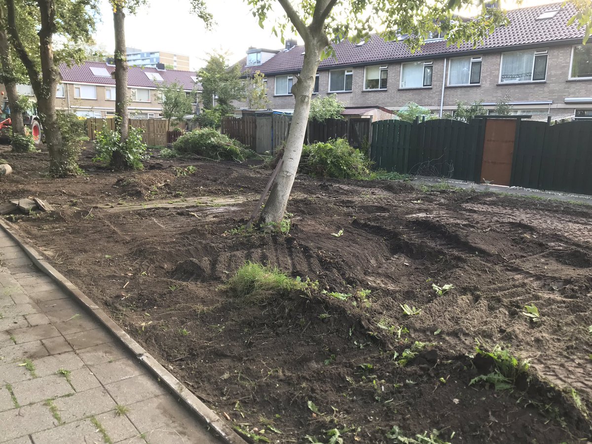 BB_Zalmplaat's tweet photo. De groenstrook die ontstond door het teruggeven van de tuinen worden nu opgeknapt. #blijfingesprek #oplossing #samen https://t.co/pYFCUSufsK