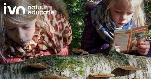 ★ GA MEE NAAR BUITEN ★ 
Paddenstoelen zoeken, gepofte kastanjes proeven, naar bronstige herten luisteren: het najaar is zó mooi! Beleef de herfst met <a href="/IVNNederland/">IVN Natuureducatie</a> en download het GRATIS Bodemdieren Doeboek! ➤bit.ly/2O0oM4e #herfst #natuur #ivn #kids #fryslan #eropuit