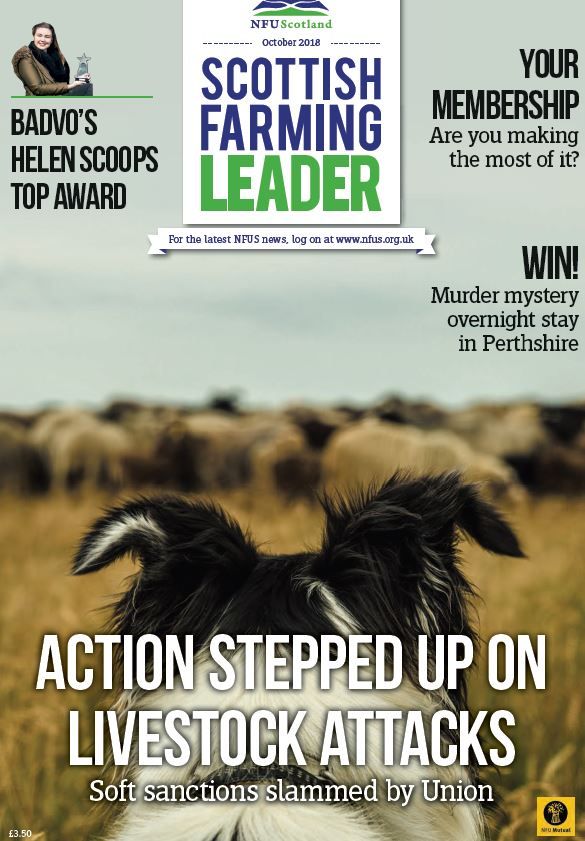 NFUStweets's tweet photo. HOT OFF THE PRESS! Your October edition of Scottish Farming Leader arrving in coming days 😍 inc latest on livestock worrying; win an overnight stay @ballathiehouse; special features on diversification and advice from partners. Read online: https://t.co/Kkbl3ydn82 #NFUS2018 https://t.co/mm7aLAazzf
