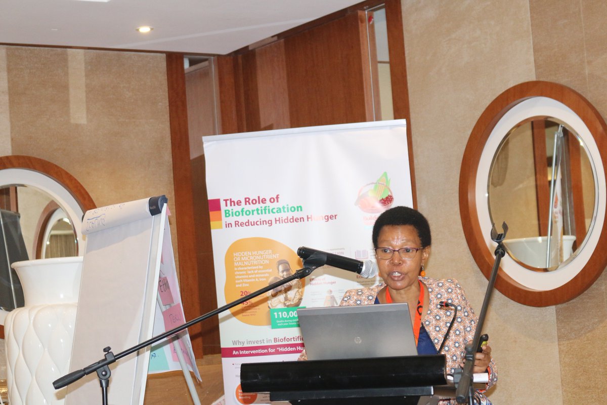 BNFB Project tweet media