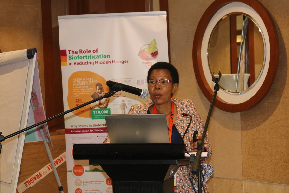 BNFB Project tweet media