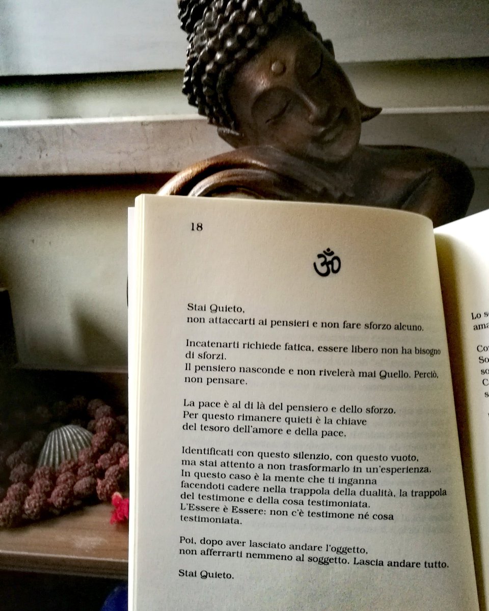 mestieredeldare's tweet photo. Be quiet! 🙏👌#namaste #goodmorning #goodvibesonly #meditation #CasaLettori #libri @MomentiZen @AccademiaYoga69 @yjita @YogaVitaSalute @meditareit @InternoPoesia #ScrivoDellEssere 🕉️ #yogais #lifeisgood Enjoy the Silence https://t.co/Z9yuHaIB6Y