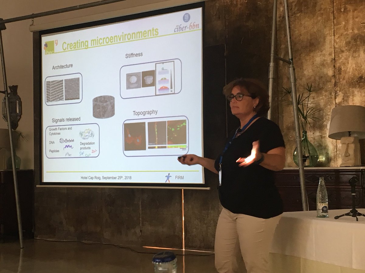 ZuzanaKoci's tweet photo. Today, keynote speaker Elisabeth Engel talks about brain tissue regeneration, bone regeneration and angiogenesis. Inspiring talk! #FIRM2018 https://t.co/8pNYdqzCrf