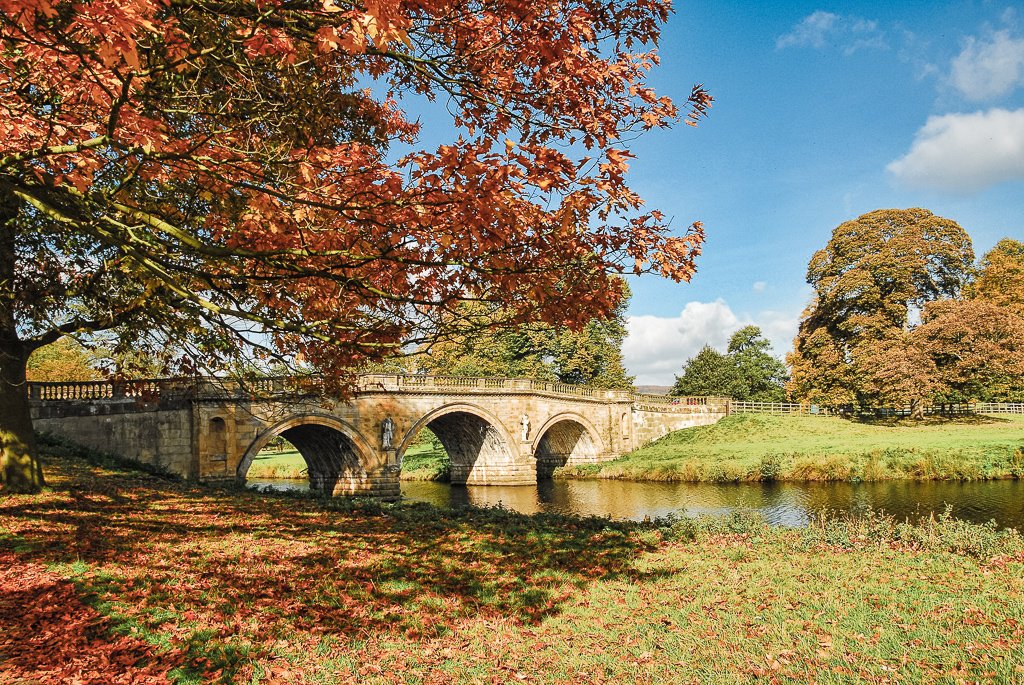 venture_far's tweet photo. Start in London and visit Stratford-upon-Avon and York before staying in Edinburgh with our Grand Tour of Britain + Ireland. #VentureFar #VFARtravels #VentureCuriously
https://t.co/p7qm6Lkt3S https://t.co/eQBwljfw5l