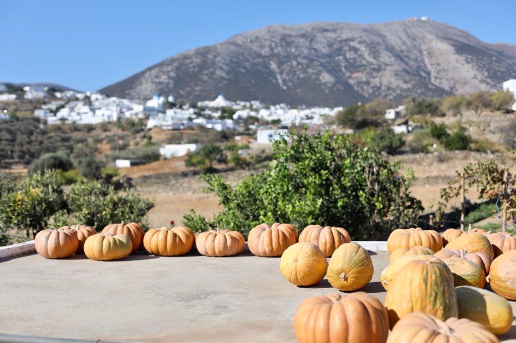 PureFoodTravel's tweet photo. Organic and local vegetables at Narlis Farm. Last night I enjoyed a wonderful dinner at Nero &amp; Alati, Alexandros Narlis farm to table restaurant in Sifnos. Loved it!#ILoveGriekenland #foodtravel https://t.co/oDmiPJOb61