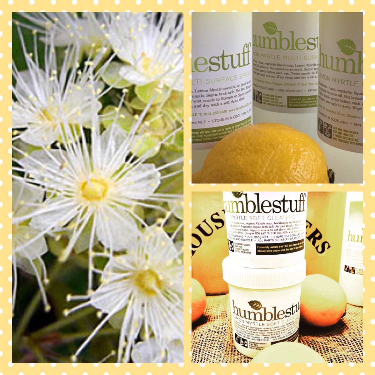 Love cleaning, but not so keen on the harmful chemicals found in many big brand household products? It’s time to switch to humblestuff.co.uk 100% handmade and free from synthetic detergents, fragrances, antibacterial biocides and palm oil. #WednesdayMotivation 🌿🍋