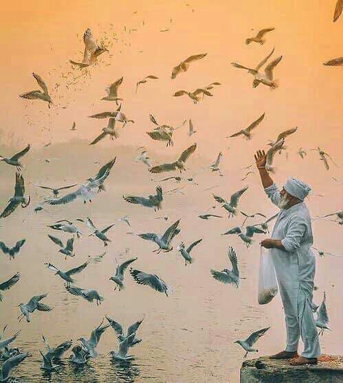 drelhammahmoud2's tweet photo. ﺃﻋﺘﻘﺪ ﺍﻥ ﺍﻟﻠ��� ﺟﻌﻞ ﺍﻟﺼﻼﺓ
ﻟﺘﺼﻠﺢ ﻛﻞ ﻣﺎ ﺗﻜﺴﺮ ﺩﺍﺧﻠﻨﺎ ﻛﻞ
ﻳﻮﻡ ﻋﺪﺓ ﻣﺮﺍﺕ، ﻟﻨﻨﻬﺾ ﺑﻌﺪ ﻛﻞ
ﻫﺰﻳﻤﺔ، ﻭﻧﺴﺘﻘﻴﻢ ﻋﻨﺪﻣﺎ ﻧﻤﻴﻞ،
ﺣﺘﻲ ﻧﺒﻜﻲ ﻋﻨﺪﻣﺎ ﻳﺨﺬﻟﻨﺎ ﺍﻟﺠﻤﻴﻊ،
ﻟ https://t.co/t6ycU3YvKy