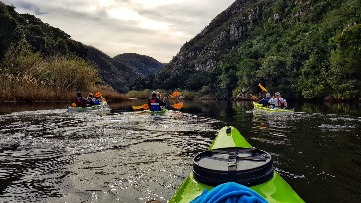 Travelbug Rose🐞 tweet media