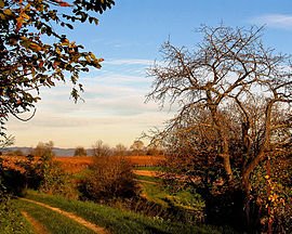 Tras un largo parón, volvemos de nuevo a Twitter.