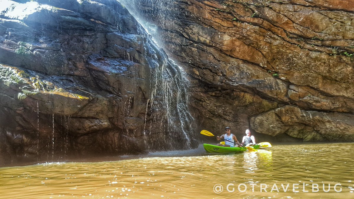 Travelbug Rose🐞 tweet media