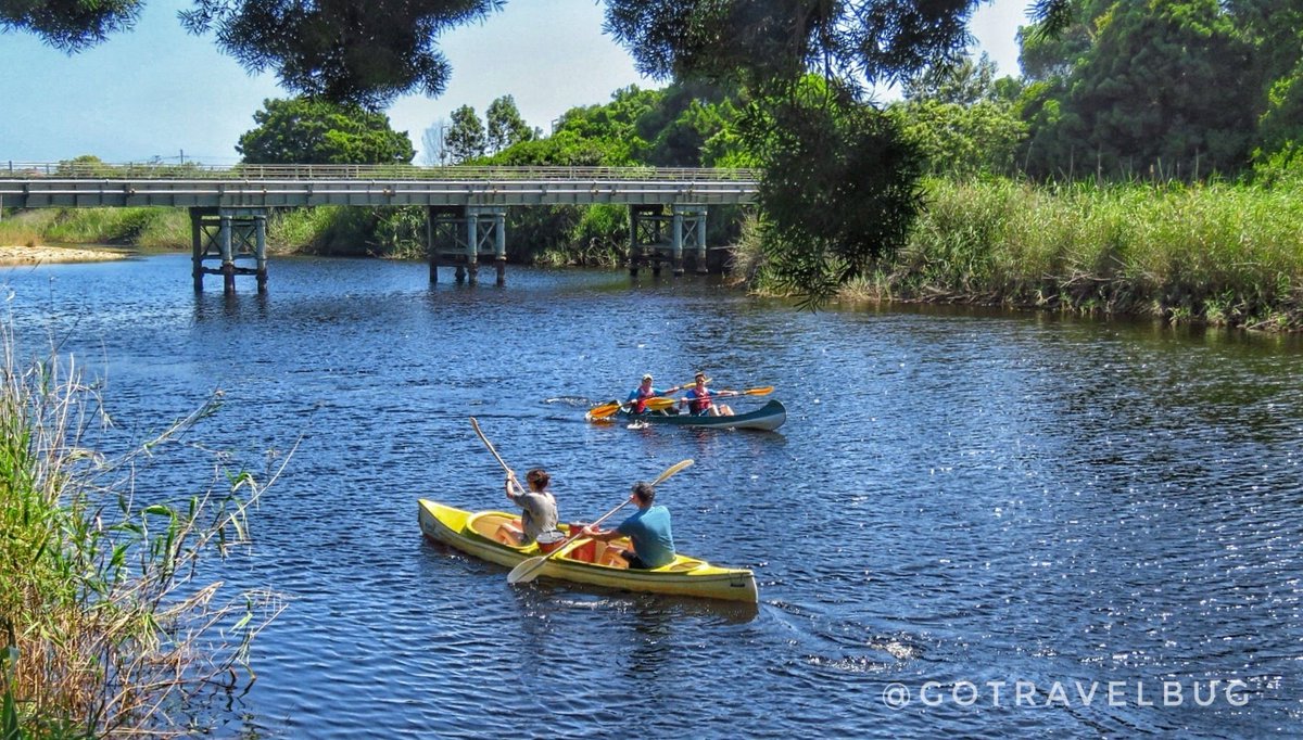 Travelbug Rose🐞 tweet media