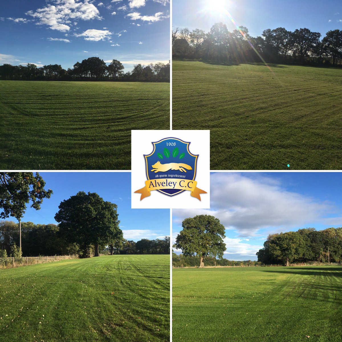 alveleycc photo