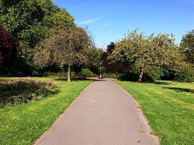 HarrietRobbo's tweet photo. Lucky to have a walk to work full of #greenery and #blueskies ☀️ 🌳 •
•
•
•
•
#wannabegreener #Bristol #naturewalk #parksofinstagram https://t.co/ecCJnUcgVA https://t.co/V9Mvv8Glrn
