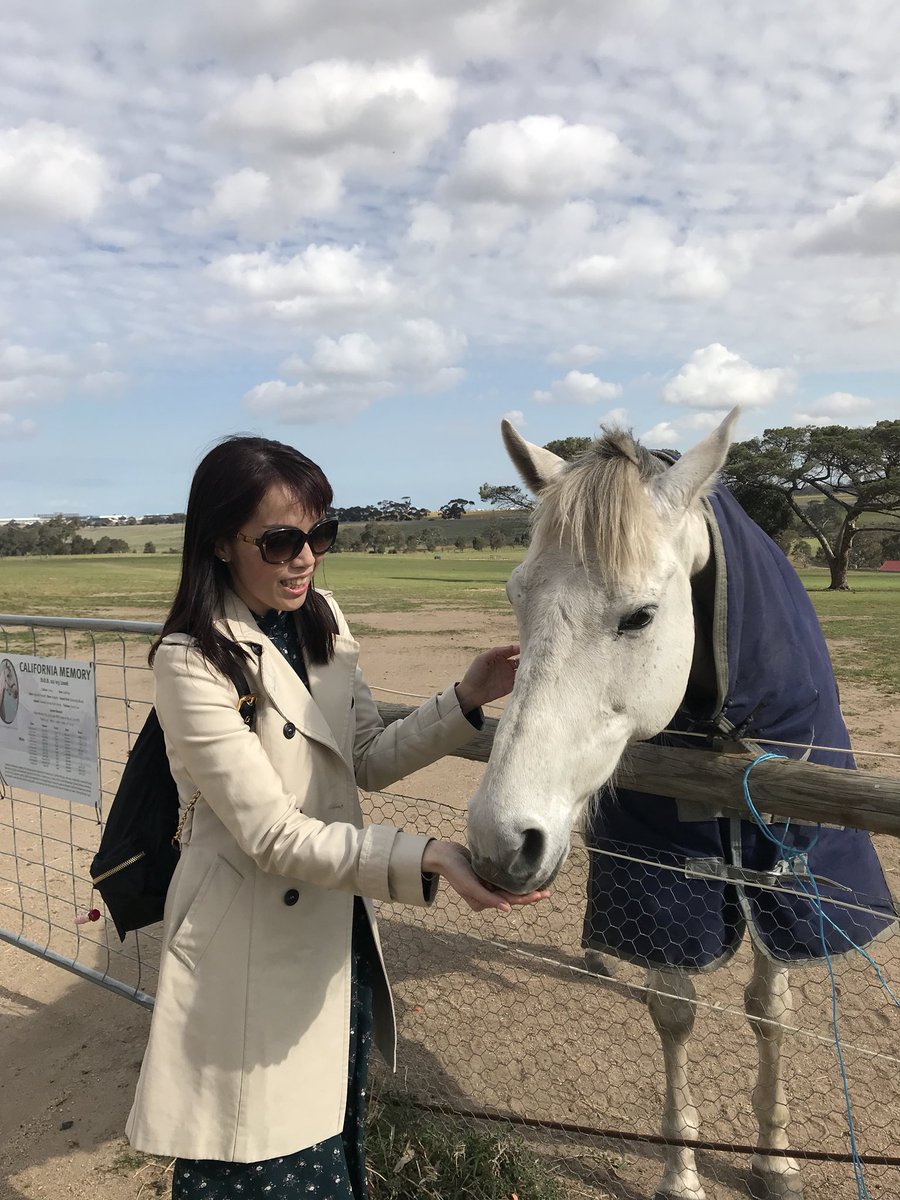 sanahuen's tweet photo. California Memory is so quiet &amp; lovely😚 He is very friend with Good Ba Ba~

#californiamemory
#goodbaba
#livinglegend
#australia https://t.co/ll3bpv8cET