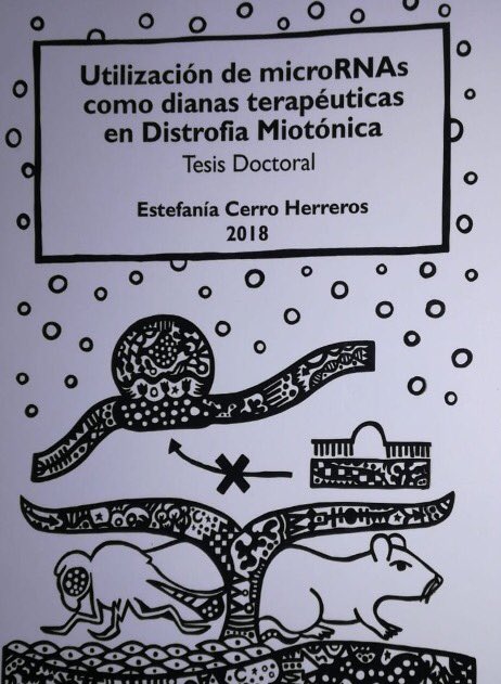 GenomicsLab_UV's tweet photo. Congratulations to our investigator Dr. Estefanía Cerro-Herreros for the successful defense of her doctoral thesis concerning miRNA therapy in Myotonic Dystrophy #dm1 #mirnas #mirnatherapy #Drosophila #translationalgenomics @UV_EG https://t.co/hGAwHYi6Y2
