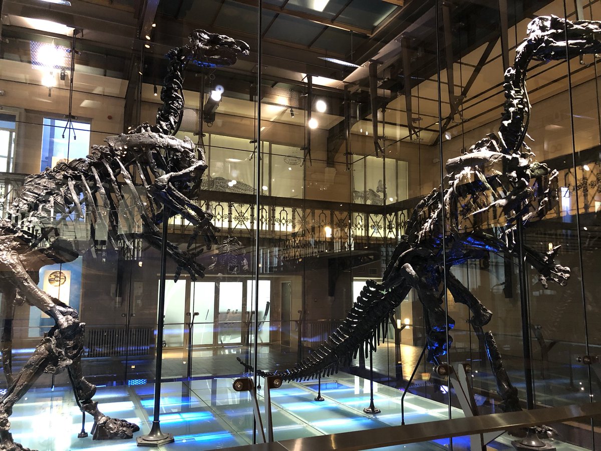ldmhsprl's tweet photo. EWIA Conference Lunch Buffet in Brussels Natural Sciences Museum
#brusselsmuseums #ewia #corporateevents #naturalsciencesbrussels https://t.co/Di0E4ZsGM8