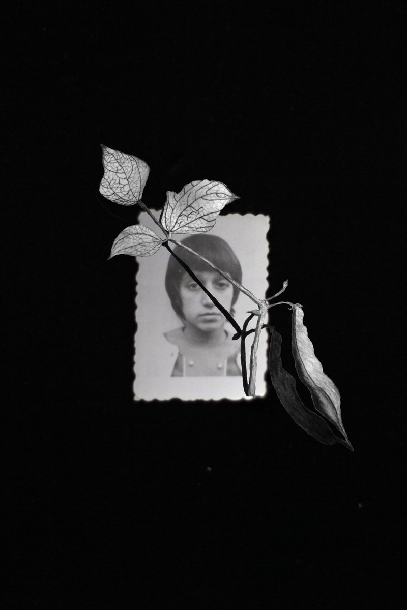 cvansoutheast's tweet photo. 4UZHBINA, 30 Sept - 28 Oct @PhoenixBrighton 
The founders of @revolvcollectiv Krasimira Butseva &amp; Lina Ivanova present a photographic installation exploring notions of the other, native roots &amp; cultural routes. @PhotoFringe #BPF18 #PlatformAlumni
https://t.co/JQ33NiTBsT https://t.co/AzLoGCb0Sl