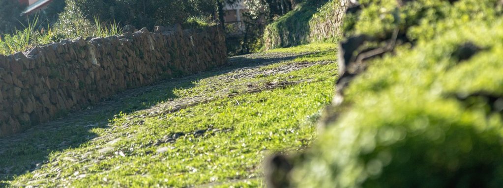 InCefaluAp's tweet photo. It's a different way to discover the coast of Sicily and the down town of Cefalù! A eco-green holiday of wellbeing discovering magical places in Cefalù! In Cefalù Apartments offers to guests a selection of electric bikes. 
 https://t.co/4E542wHIIW https://t.co/N6nyOcWLMk