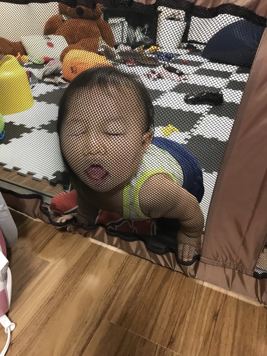 alien_no3's tweet photo. 天の顔がもーやばい🤦‍♀️
寝起きもなんともいえない顔してるし、フェンスに顔押し付けてこんなんなっちゃうし👶🏻
可愛い写真が撮れない🤦‍♀️ https://t.co/WUFHUcffET