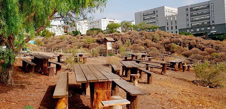 ecoejestenerife's tweet photo. El Barranco Urbano de Añaza ha dejado de ser un basurero para convertirse en un Centro de Educación Ambiental que da cobertura a varios proyectos ambiciosos cuyos objetivos no son otros que generar oportunidades de empleo. https://t.co/097YyaziRL https://t.co/kOcNjSm4HE