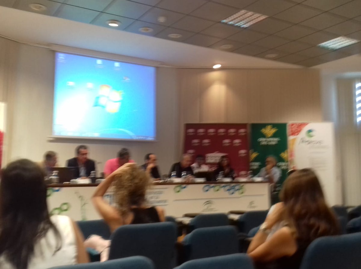 Bo True Activities tweet media