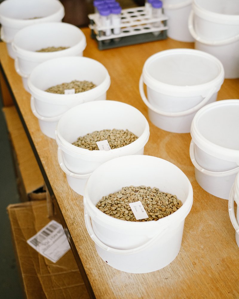 CartwheelCoffee's tweet photo. New coffees inbound! Go check out the website to grab some coffee for home, or nip into the shop ๐ #coffeeroaster #coffee #nottingham #nottscoffee https://t.co/CBPj1LUCe9