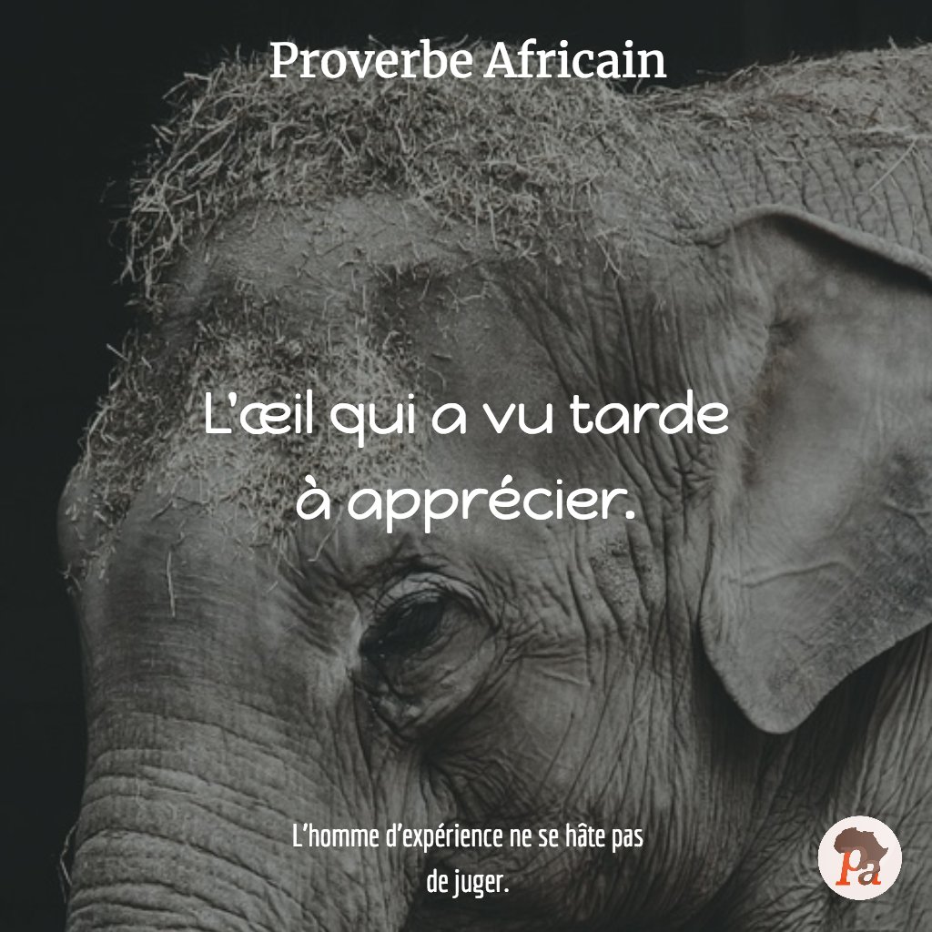 Proverbe Africain éléphant Gratuit