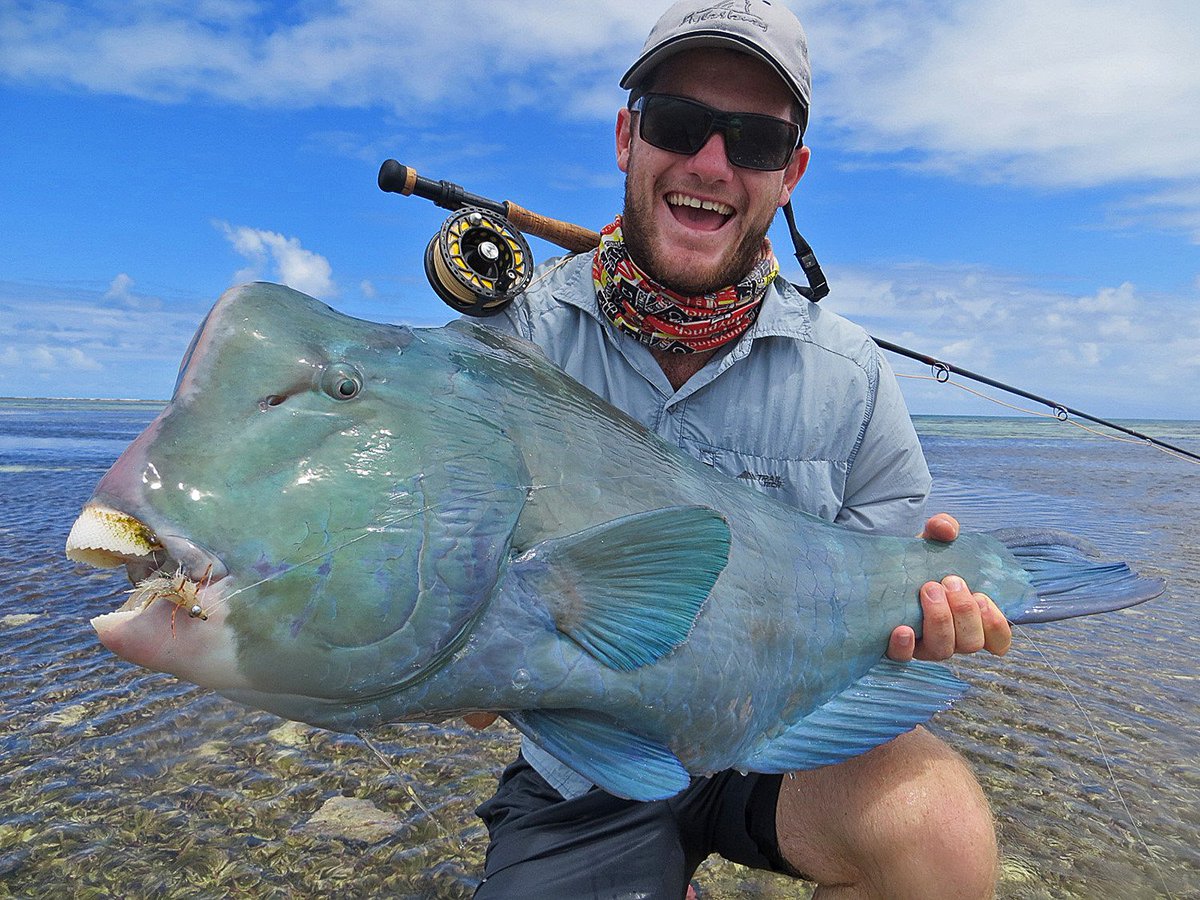 flycastaway's tweet photo. Even this #Bumpie looks happy to be in this photo! Alien looking but such fun on the flats... want to get your hands on one? Our guides on #FarquharAtoll have them figured out. Come play. #WadeReels #TestedTough https://t.co/A16TTzGB50